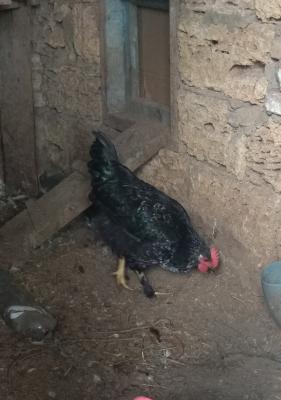 Прикрепленное изображение: IMG_20200802_141614.jpg